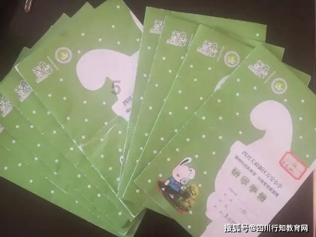 姹紫嫣红闹新春,年宵花市正红火